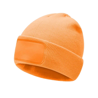 CAPPELLO URBAN BS661