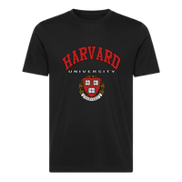 T-SHIRT OVER UOMO BS052