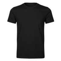 T-SHIRT GEMINI / UOMO BS051