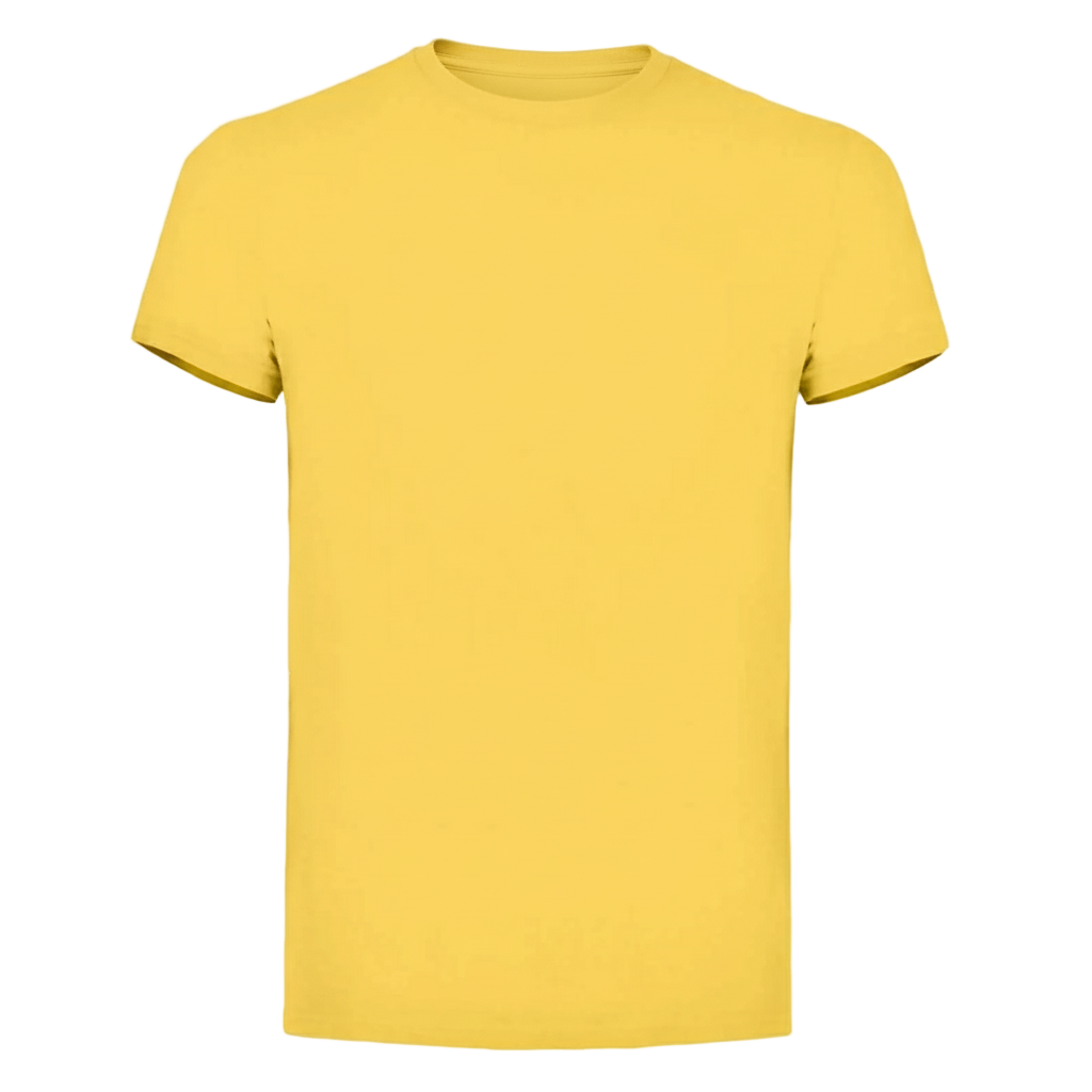 T-SHIRT GEMINI / UOMO