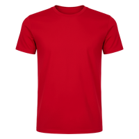 T-SHIRT GEMINI / UOMO BS051