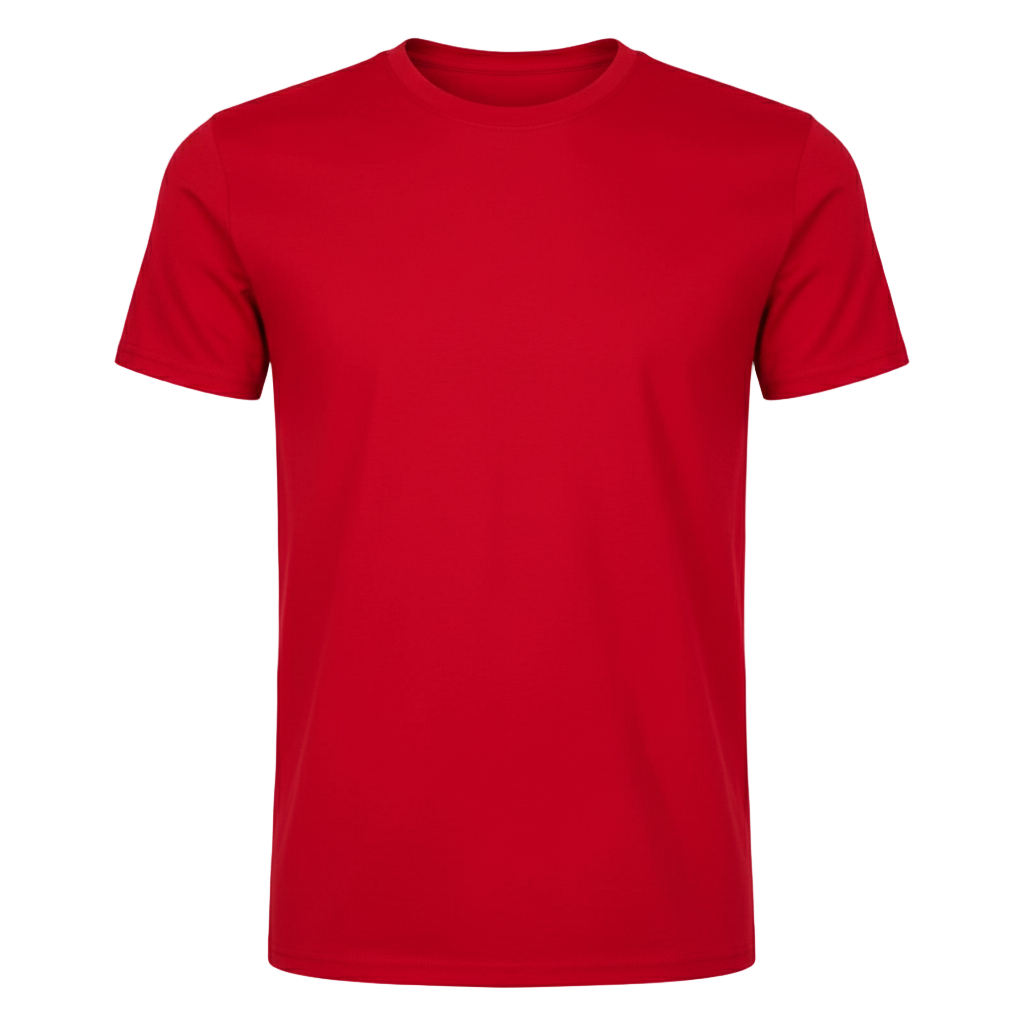 T-SHIRT GEMINI / UOMO