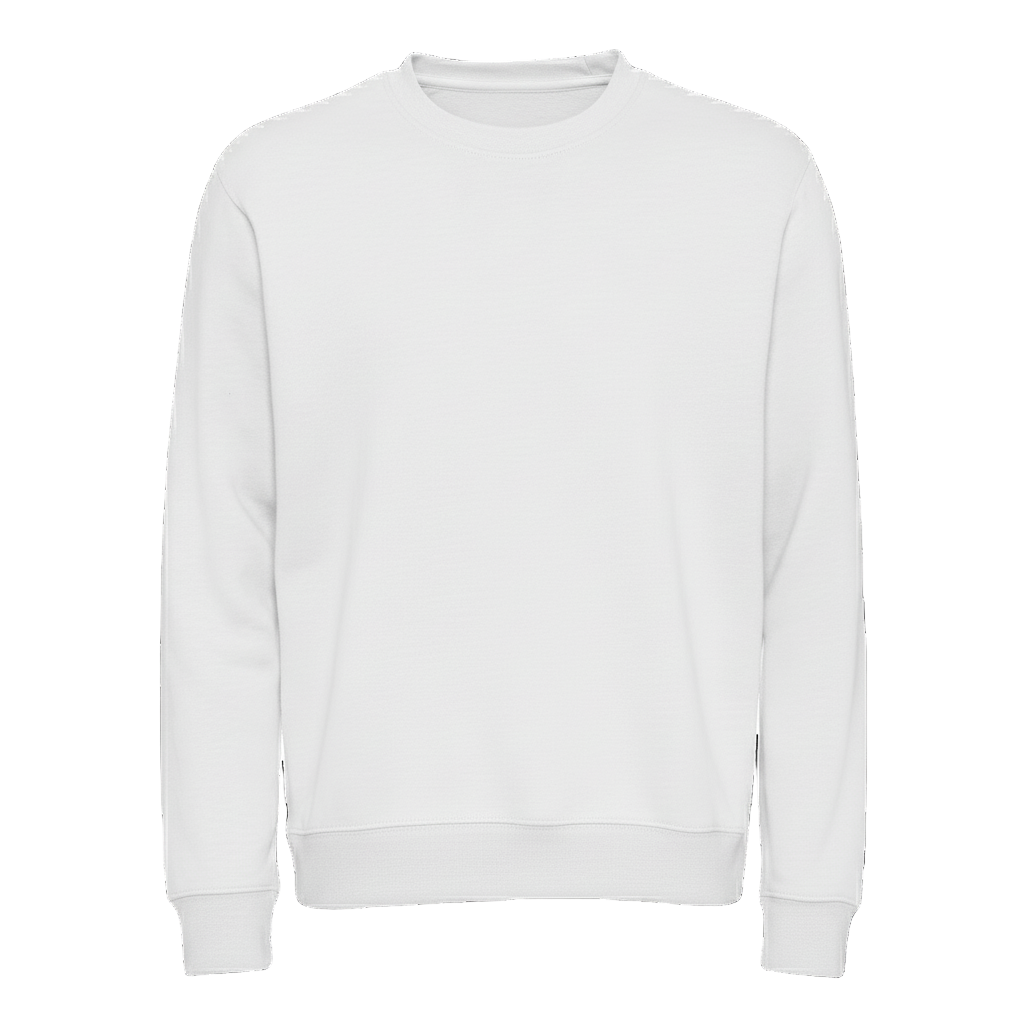 FELPA GIROCOLLO ATLAS / UOMO BS331