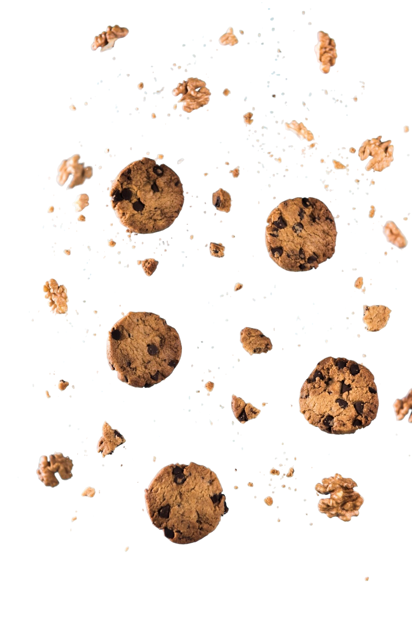 INFORMATIVA SUI COOKIE